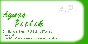 agnes pitlik business card